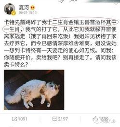 娱乐吃瓜酱虐猫小说,娱乐吃瓜酱的黑暗面揭露