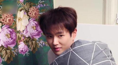 吃瓜娱乐圈李现范丞丞,娱乐圈的瓜田，谁主沉浮？