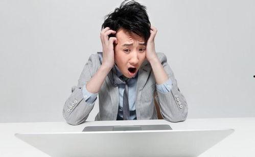 娱乐圈吃瓜文具有哪些小说,从吃瓜文到小说的奇幻之旅